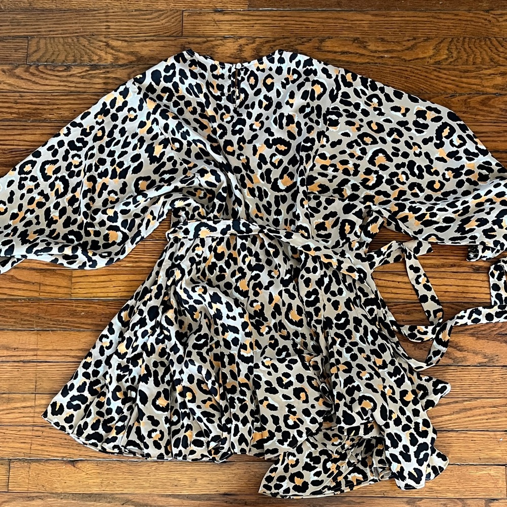 Leopard Print Dress - Picture 4 of 5